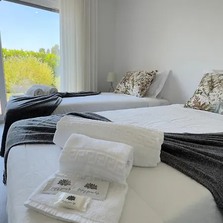 D'arte De Rei 雷镇